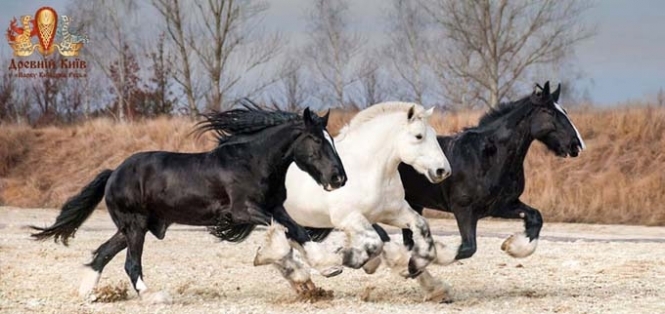 На вихідних у 