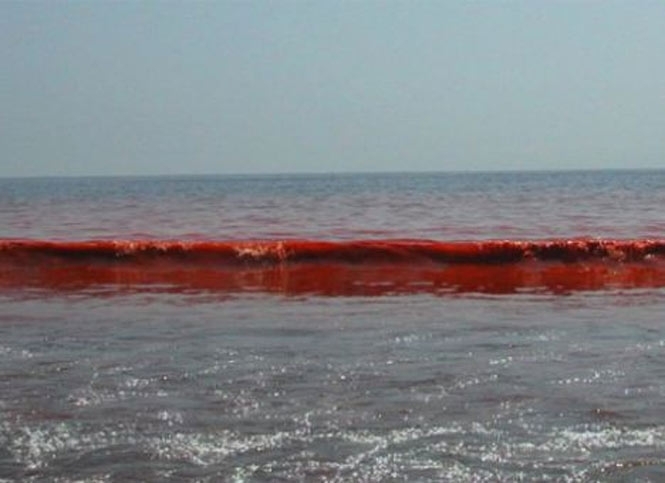Азовське море стало червоним