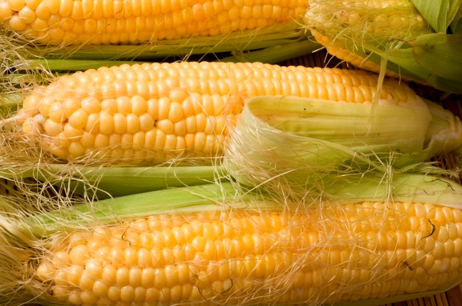 Незаконный экспорт кукурузы на сумму ₴ 4,7 млн разоблачили и остановили в Николаевской обл.