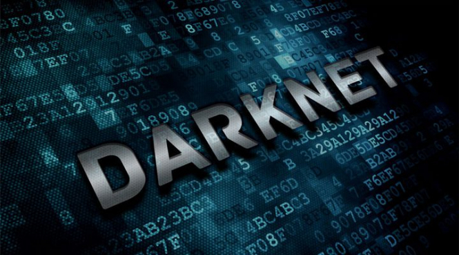 Найвідомішим у Darknet ресурсом керували українці, – Кіберполіція