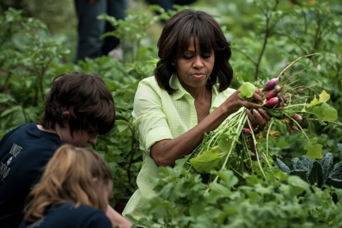 Через кризу у США картопля Мішель Обами стала поживою для хробаків 