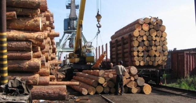 Рада ввела 10-летний мораторий на экспорт необработанной древесины