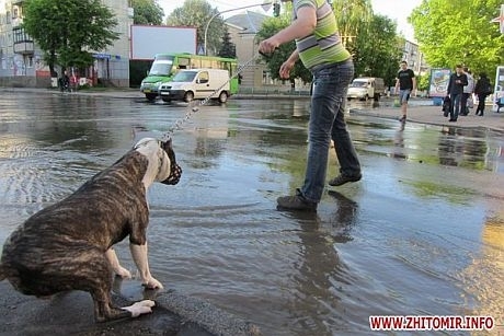 Аварія на водогоні залишила Житомир без води (фото, відео)