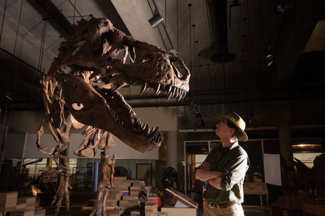 Знайдений у Канаді 30 років тому тиранозавр виявився найбільшим у світі