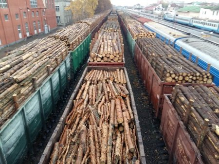 Українцям з прифронтових територій безкоштовно роздадуть 5000 вагонів дров