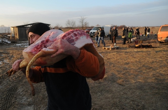 За 9 місяців в Україні виробили 2,3 мільйона тонн м'яса, - Присяжнюк