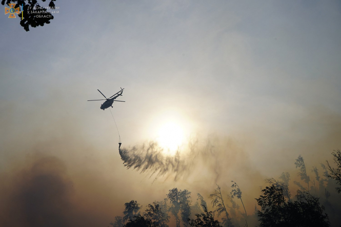 На Закарпатті третій день намагаються загасити масштабну лісову пожежу, залучено понад 200 людей