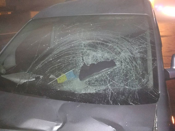 На Черниговщине водитель насмерть сбил женщину с двумя малолетними детьми