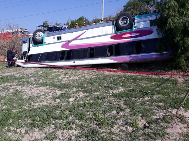 В Мексике перевернулся школьный автобус: 12 детей ранены