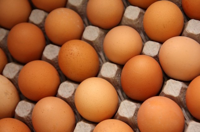 В Венгрии обнаружили крупные партии яиц, зараженные фипронилом