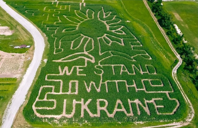 Ферма в США зробила лабіринт в кукурудзяному полі і збирає кошти на підтримку України - видання