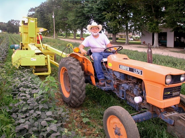 В Україні зростає прибуток підприємств сільськогосподарської галузі