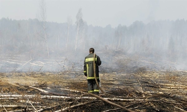 За добу площа лісових пожеж у Забайкаллі збільшилася вдвічі