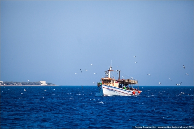 В Греции задержали судно с тонной конопли на борту