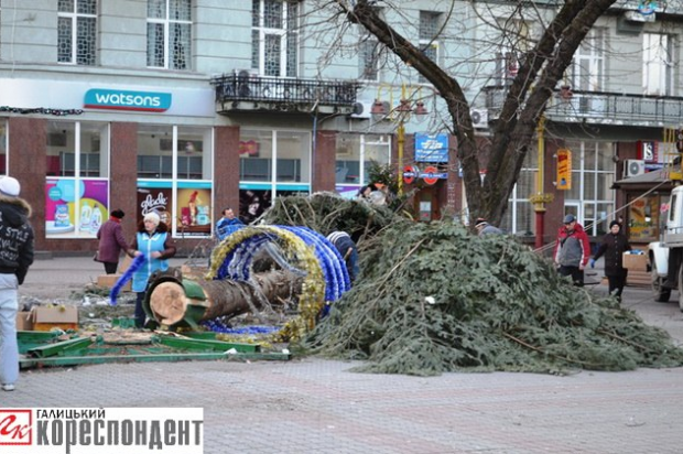 В Івано-Франківську через сильний вітер впала головна ялинка міста, - фото