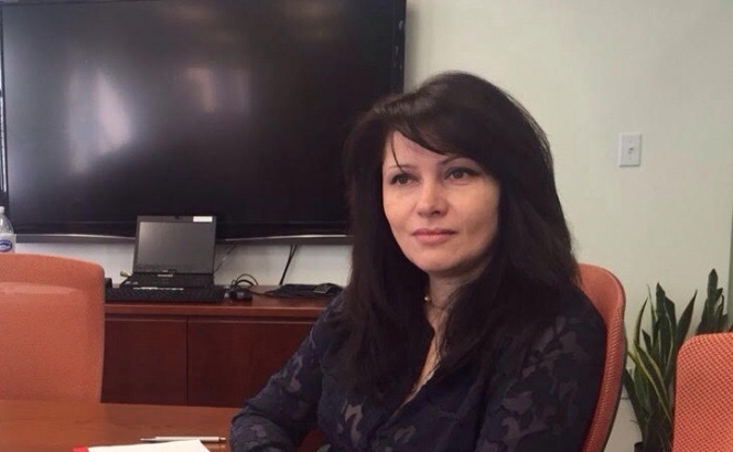 Депутат от БПП Ирина Фриз приобрела автомобиль в 10 раз дороже, чем ее доход