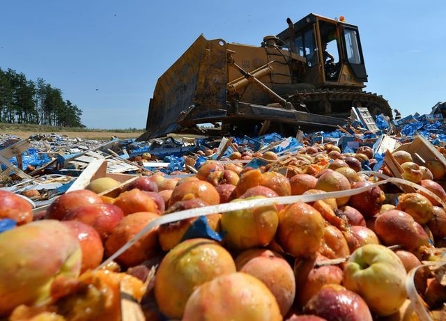 В России уничтожили целый вагон яблок и киви из Беларуси