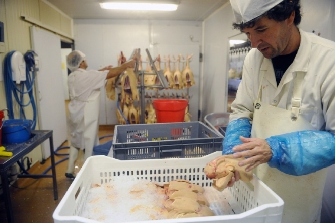 Протести змусили французьких виробників фуа-гра покращити умови утримання птиці на фермах