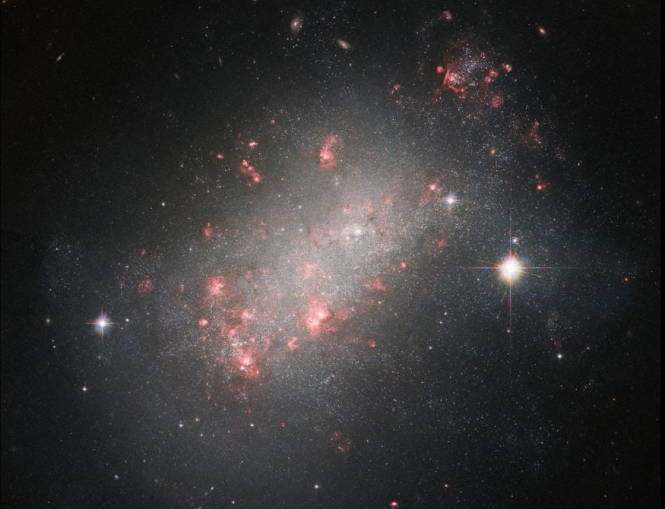 Космічний телескоп Hubble сфотографував незвичайну карликову галактику