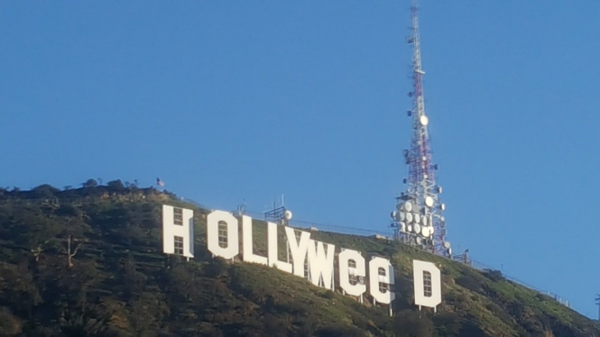 В Лос-Анджелесе неизвестный изменил надпись Hollywood на Hollyweed