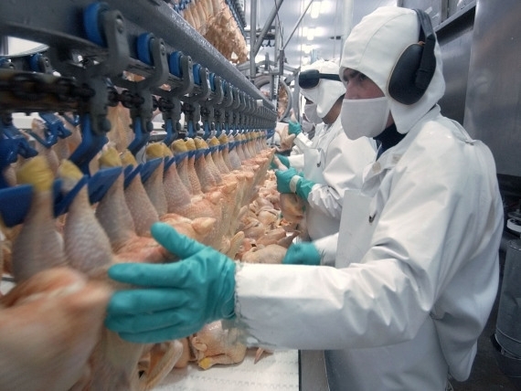 Евросоюз разрешил Украине экспортировать в Европу мясо птицы