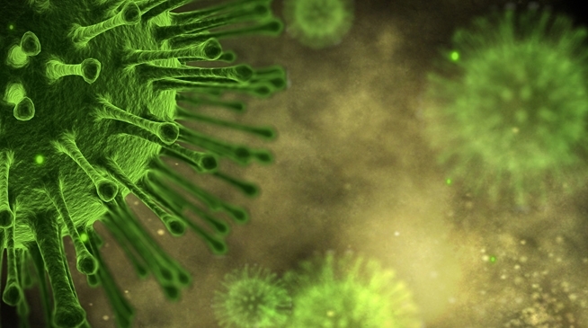 В Японії поширюється бактерія, яка здатна вбити за два дні – Bloomberg

