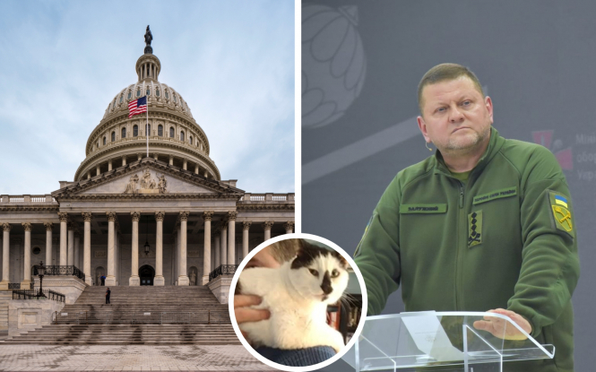 Естетика проти реальності. Боротьба за розуміння війни в Україні – Ендрю Таннер