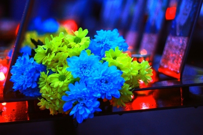 Річниця Євромайдану: свічки, квіти, пісні і… сутички – ФОТОРЕПОРТАЖ