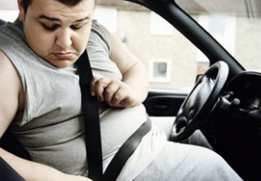 Водії, які страждають на ожиріння, мають більше шансів загинути в ДТП