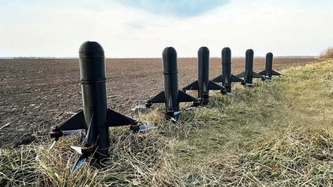 США та країни Перської затоки ведуть переговори про купівлю українських перехоплювачів 