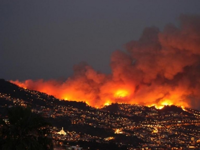 На Мадейрі лісова пожежа нищить будинки