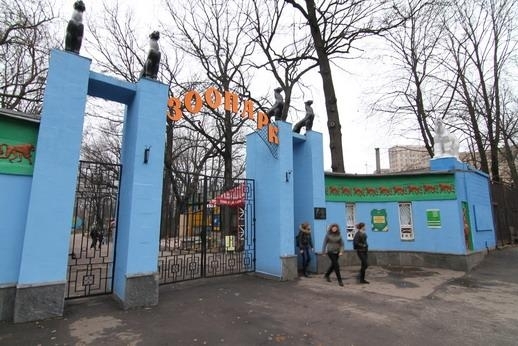 Кернес просить врятувати його чотириногих друзів від голоду