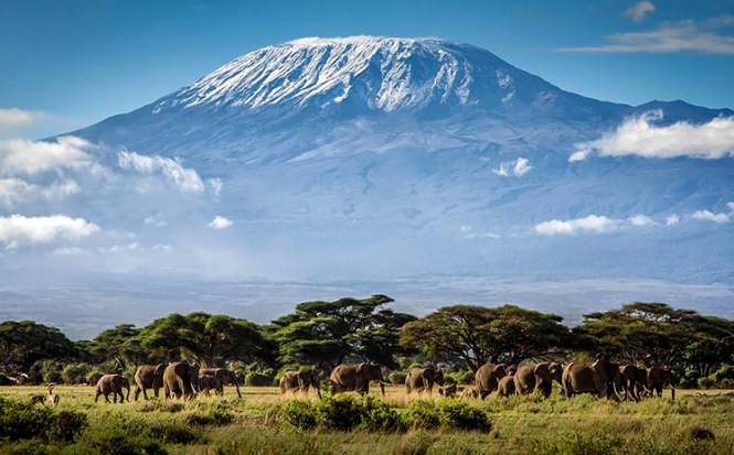 До 2050 року на Кіліманджаро не буде льодовиків – вчені