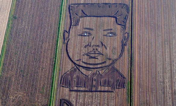 В Италии на соевом поле изобразили 200-метровый портрет Ким Чен Ына