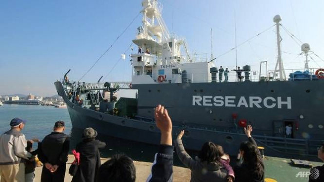 В Японии сообщили об убийстве 177 китов 