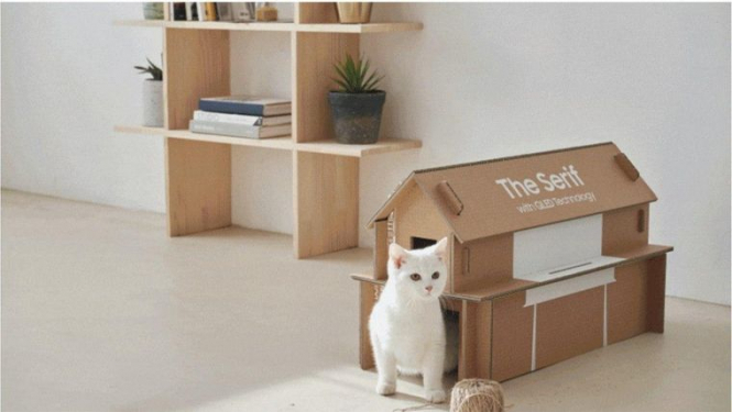 Samsung представил новую упаковку для телевизоров: из нее можно сделать домик для кота
