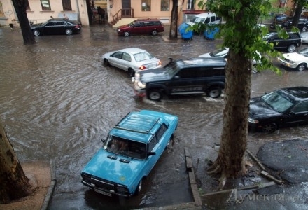 В Одесі знову негода: вітер завалив дерева, вулиці - у воді (фото) 