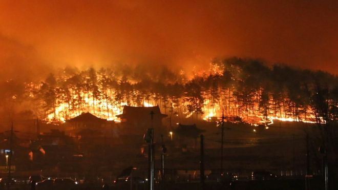 У Південній Кореї оголосили надзвичайний стан через масштабні пожежі