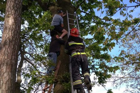 На Ровенщине спасатели сняли с дерева мужчину, который полез за котом, но не смог спуститься