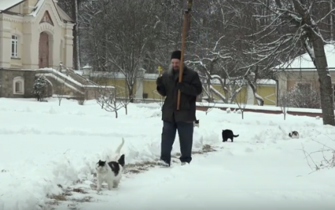 В России священник провел крестный ход с котами, - ВИДЕО