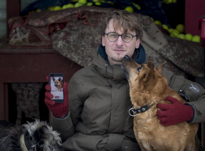 В Литве создали приложение для знакомств с животными из приюта