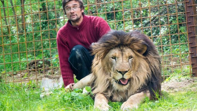 У Чехії лев убив свого господаря, який незаконно утримував його вдома