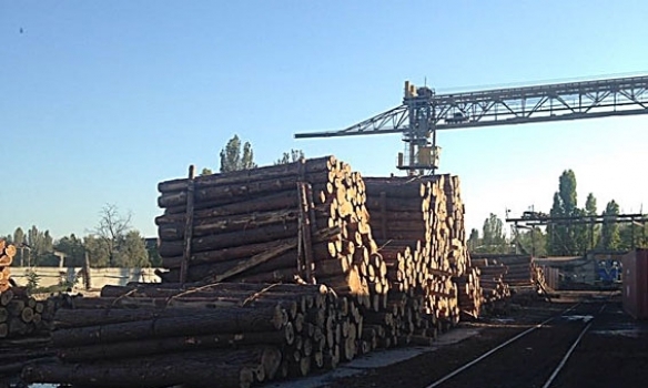 В Одесі правоохоронці викрили канал незаконного експорту лісу, - ФОТО