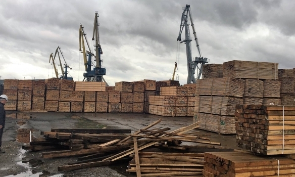 З України до Туреччини нелегально вивозили тисячі кубометрів деревини, - ФОТО