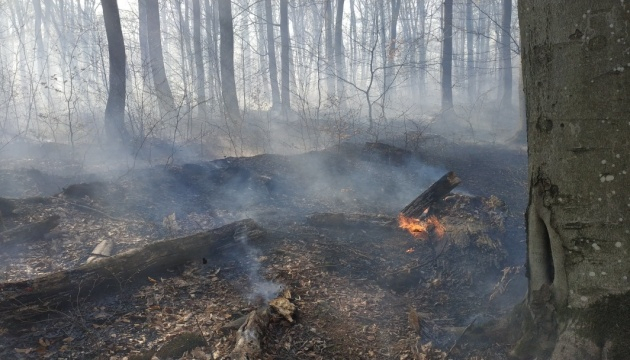 На Закарпатье выгорело 35 гектаров леса, - ФОТО