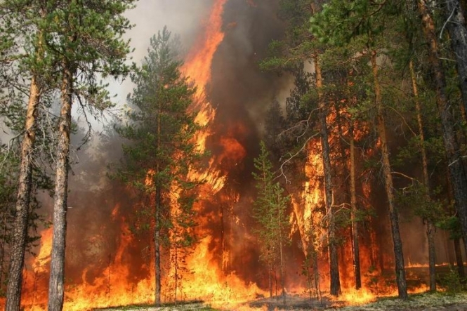 Ситуація з пожежею на Київщині загострилася, полум'я рухається в напрямку ЧАЕС, - Аваков