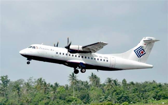 На місці падіння пасажирського літака в Індонезії знайшли тіла 38 загиблих