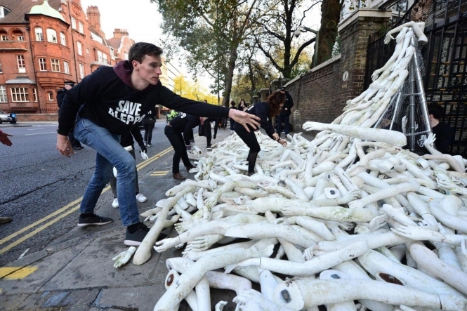 Посольство России в Лондоне забросали пластиковыми конечностями