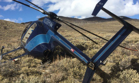 В США вертолет упал из-за дикого лося