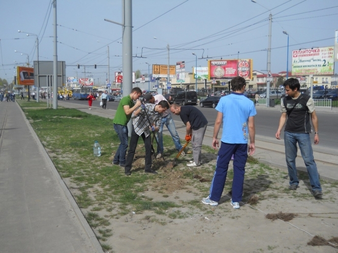 Львів’яни власними силами висаджують дерева на вулицях (фото)